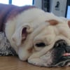 Photo de Billyboy 