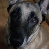 Photo de profil de Laïos