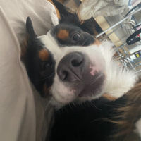 Photo de profil de Eska