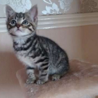 Photo de profil de Star