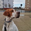 Photo de Rio