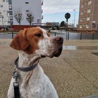 Photo de profil de Rio