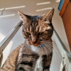 Photo de Mojo