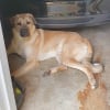 Photo de Pako
