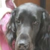 Photo de jazz