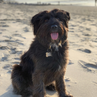 Photo de profil de Nala 