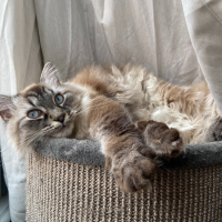Photo de profil de Moon 