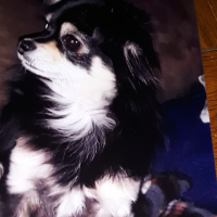 Photo de profil de Lisette
