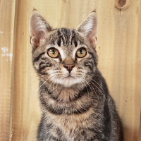 Photo de profil de Doudou