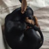 Photo de Kéops