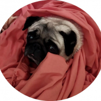 Photo de profil de Maya 