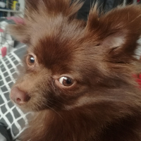 Photo de profil de Éric 