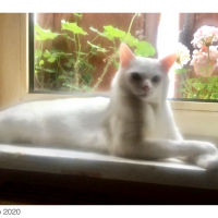 Photo de profil de Diego 