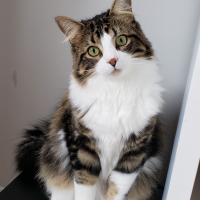 Photo de profil de Béatrice 