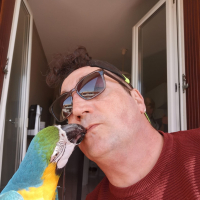 Photo de profil de Maya