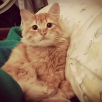 Photo de profil de Michou