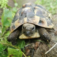 Photo de profil de Meggie