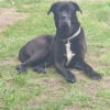 Photo de Buffalo Bill des contes de Lola