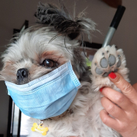 Photo de profil de Nano