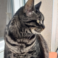 Photo de profil de Fizz