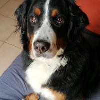 Photo de profil de Ness