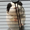 Photo de Pepito