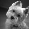 Photo de Stanley 