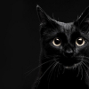 Photo de Krokmou 