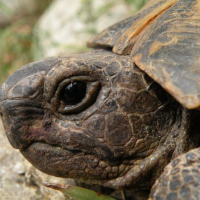 Photo de profil de hella