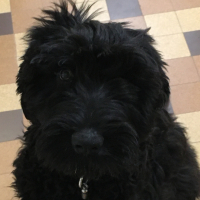 Photo de profil de RUBY