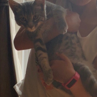 Photo de profil de Tommy