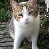 Photo de profil de Poupie