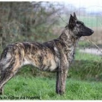Photo de profil de mason