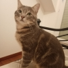 Photo de Prisko