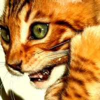 Photo de profil de Ria de Wonderfullarche 