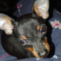 Photo de profil de ROXIA