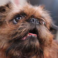 Photo de profil de Wall-e