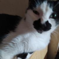 Photo de profil de Moustique