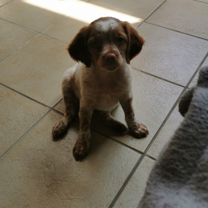 Photo de profil de Speedy