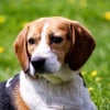 Photo de Zoé