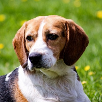 Photo de profil de Zoé
