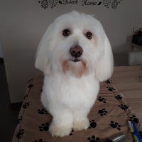 Photo de profil de Nexy