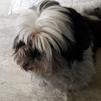 Photo de profil de heliot