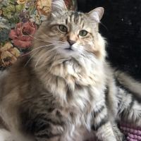 Photo de profil de Gaspard