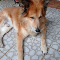 Photo de profil de Léo
