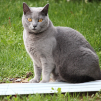 Photo de profil de Orelie