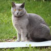 Photo de Orelie