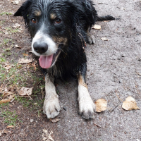 Photo de profil de Onyx 