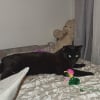 Photo de Salem