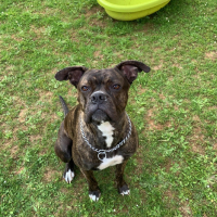 Photo de profil de Sky